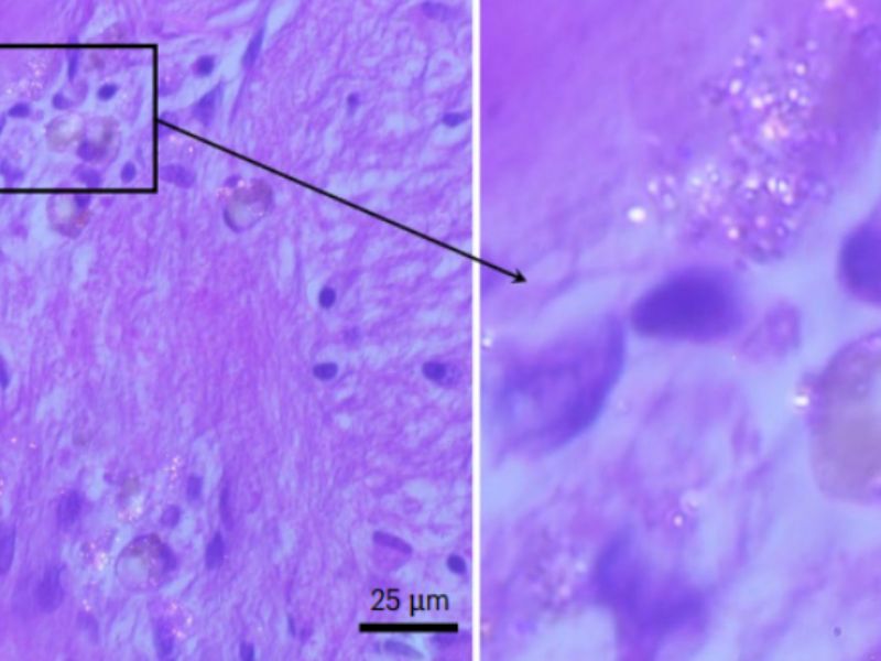 Httpscdn.pixabay.comphoto201610201740aircraft 1756149 1280.jpg 45