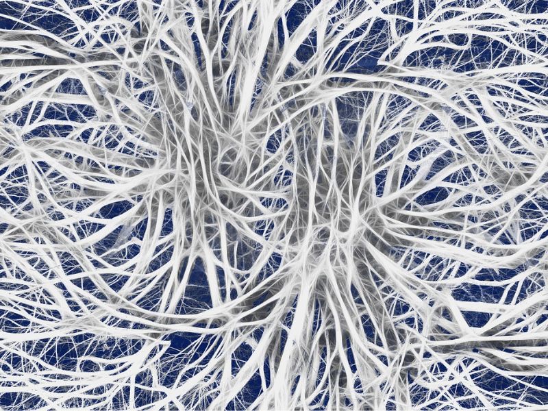 Httpscdn.pixabay.comphoto201610201740aircraft 1756149 1280.jpg 48