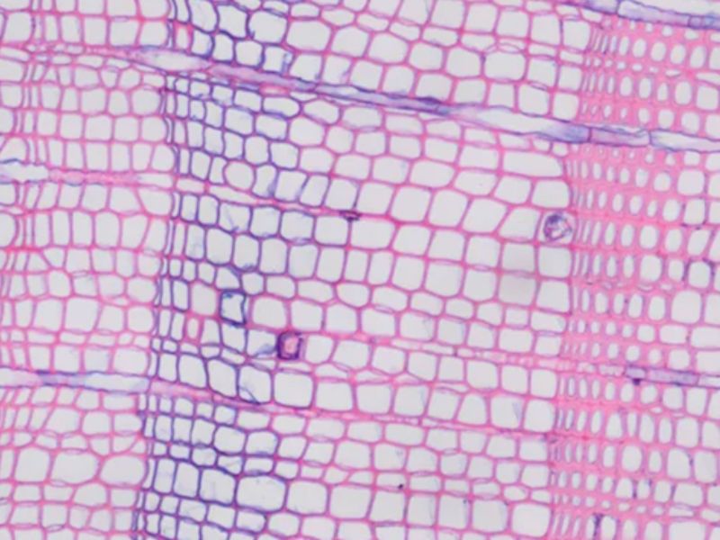 Httpscdn.pixabay.comphoto201610201740aircraft 1756149 1280.jpg 58