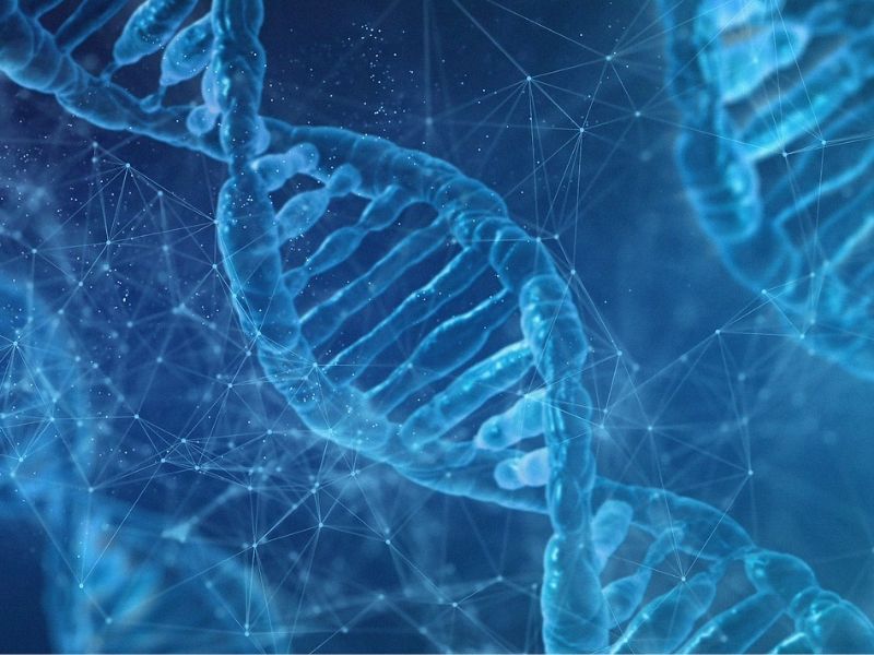 Stanford Researchers Identify 380 DNA Variants Linked to Cancer Prediction and Growth