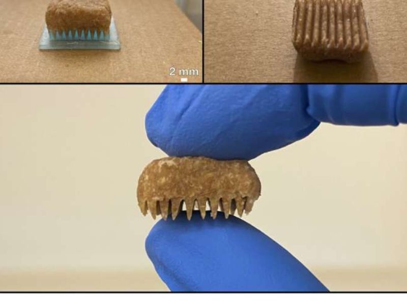 Two innovative methods for shaping bread-derived carbon electrodes.