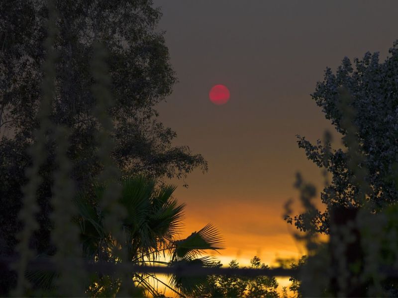 Our Moon Is About to Glow Blood Red—Here’s the Reason.
