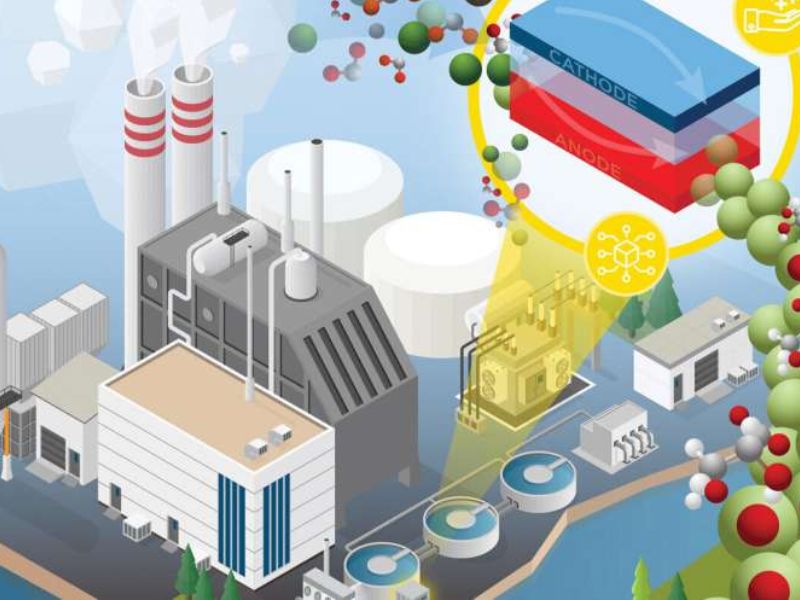 Biodiesel Wastewater Treatment: Harnessing Carbon and Recovering Valuable Compounds