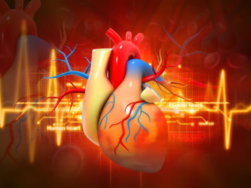 First “Never-Stop Beating” Heart Transplant Marks a Historic Medical Breakthrough