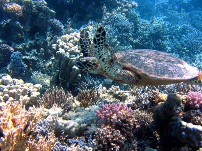 Design Sem Nome 11 1