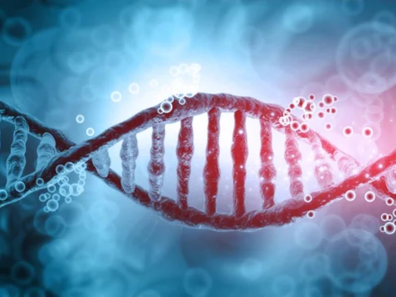 Immune Resilience Key to Healthy Aging