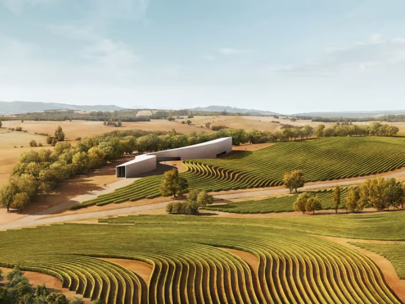 Spanish Winery Uses Hempcrete Blocks To Preserve Ancient Grapes