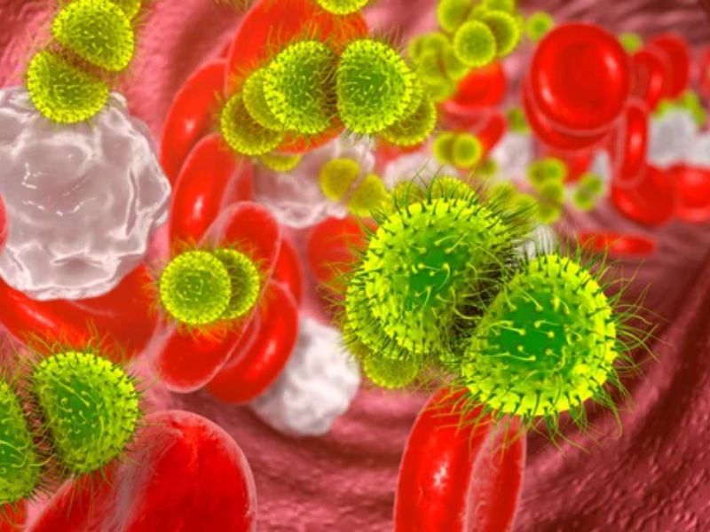 Parasite Hides by Stealing Human Cell Proteins