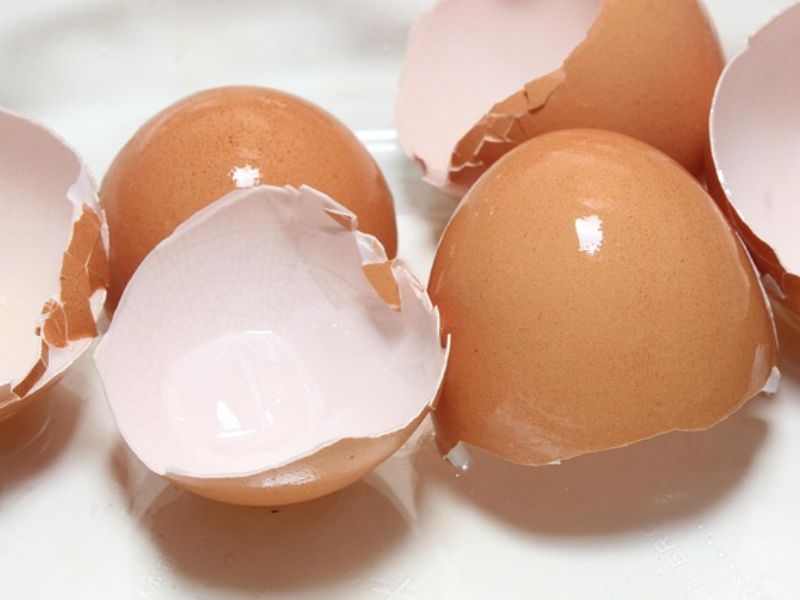 Food Scientist Reveals Best Way To Peel A Boiled Egg