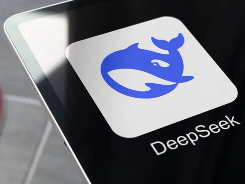 A Complete Guide to the AI Chatbot App