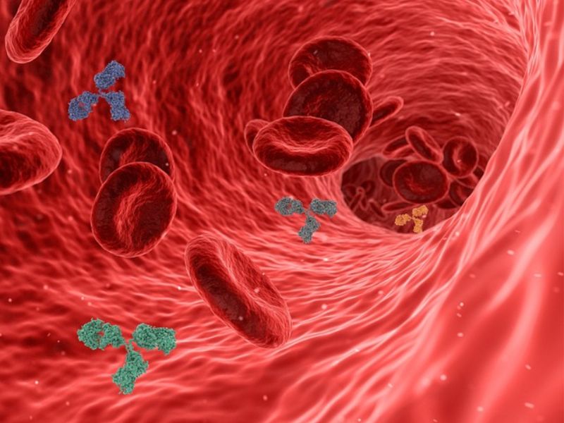 Blood Clotting Discovery Heralds A “New Era In Vascular Biology”