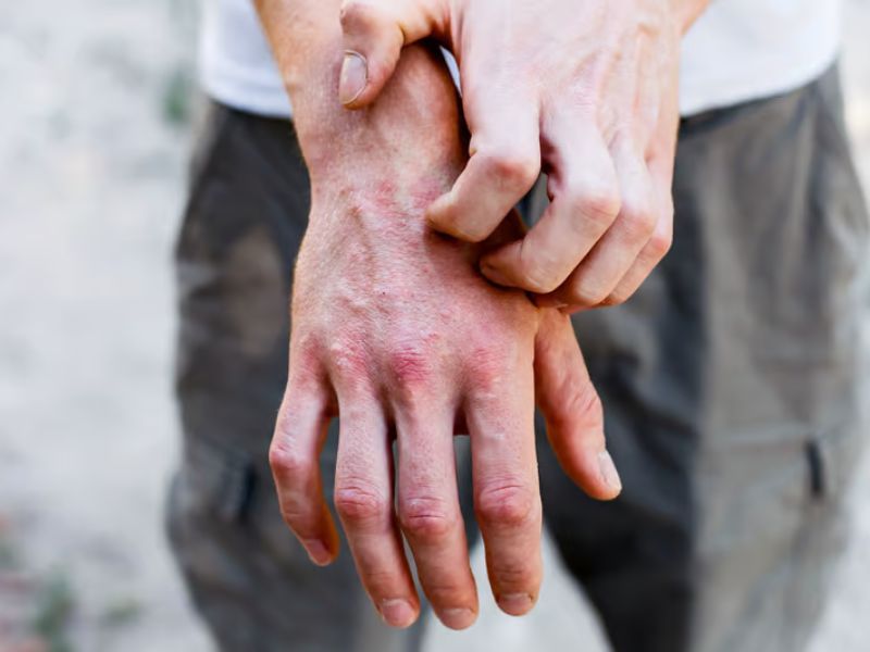 Design Sem Nome 2025 06 25T122624.688