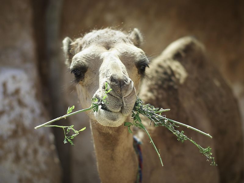 Design Sem Nome 2025 07 07T164650.353