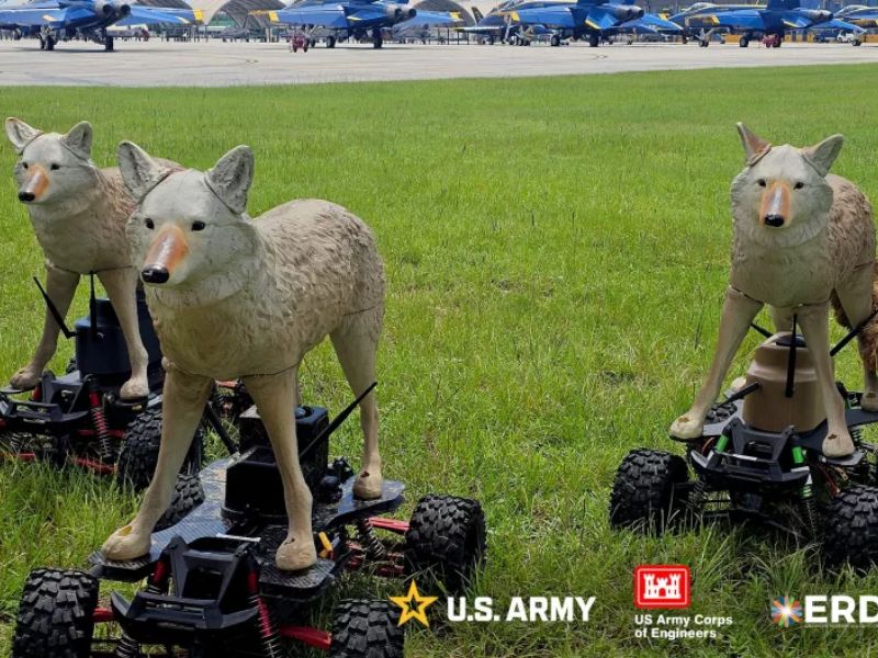 Robotic Coyotes Guard U.S. Airfields with Cyber-Charm and Force