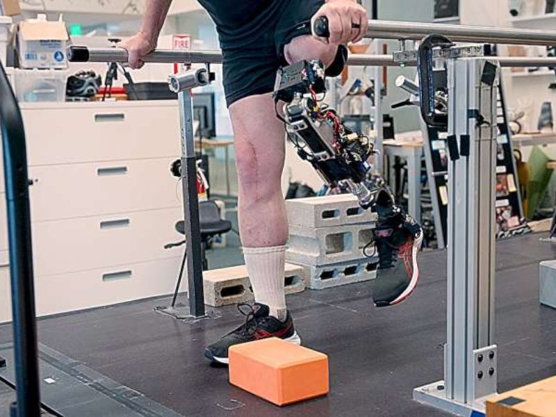 Design Sem Nome 2025 07 14T153015.694