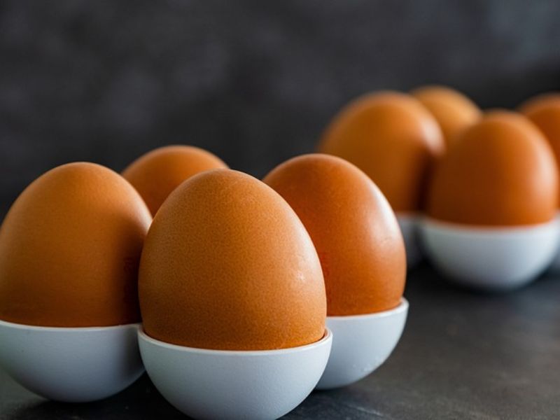 Groundbreaking Study Challenges Decades of Warnings About Eggs and Cholesterol
