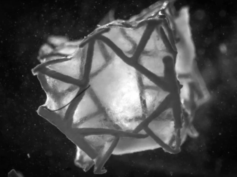 Implantable Heart Patch Heals Tissue and Closes Holes