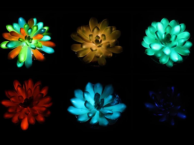 Glow-Boosting Nanoparticles turn Houseplants Into Night Lights