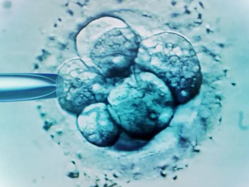 Baby Born From 30-Year Frozen Embryo Sets Record