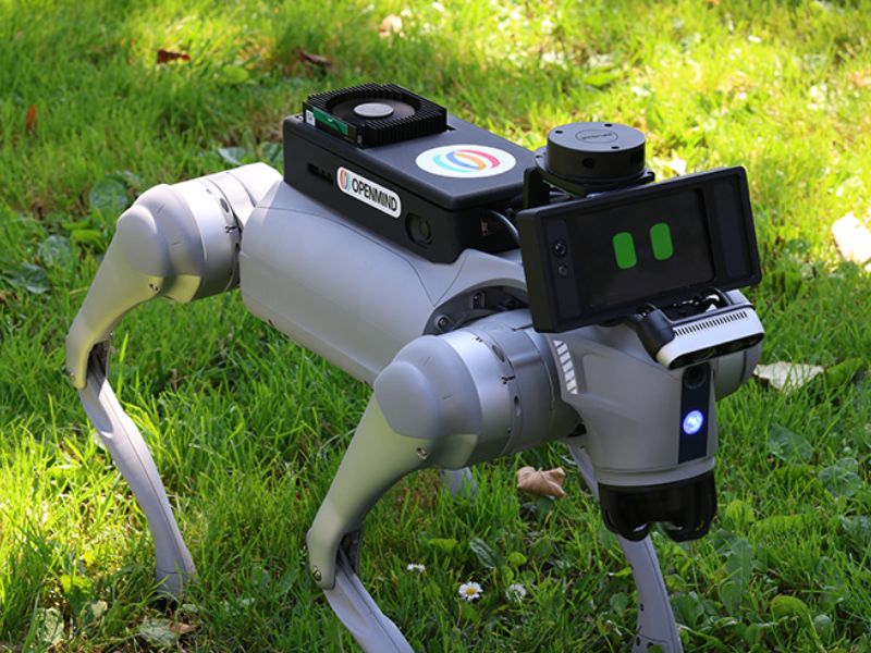 Design Sem Nome 2025 09 19T095122.313