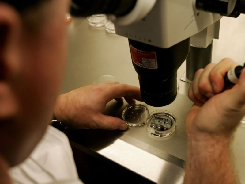 Design Sem Nome 2025 10 02T110132.655