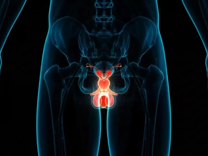 Design Sem Nome 2025 10 20T113258.169