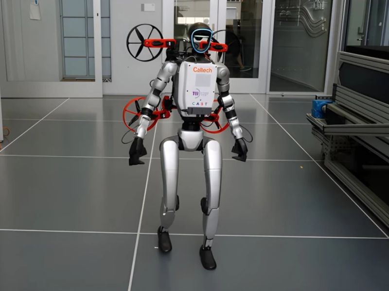 Design Sem Nome 2025 10 20T130424.948