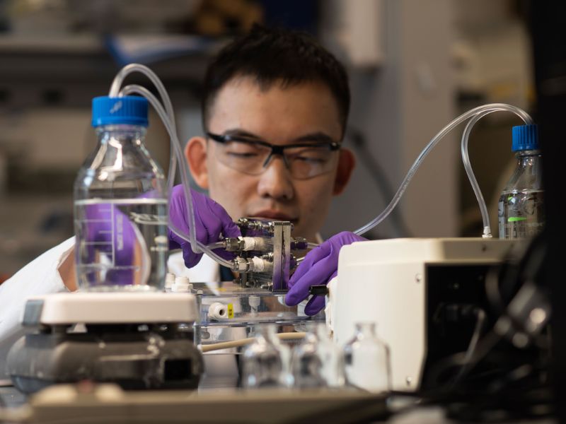 Design Sem Nome 2025 10 29T145937.984