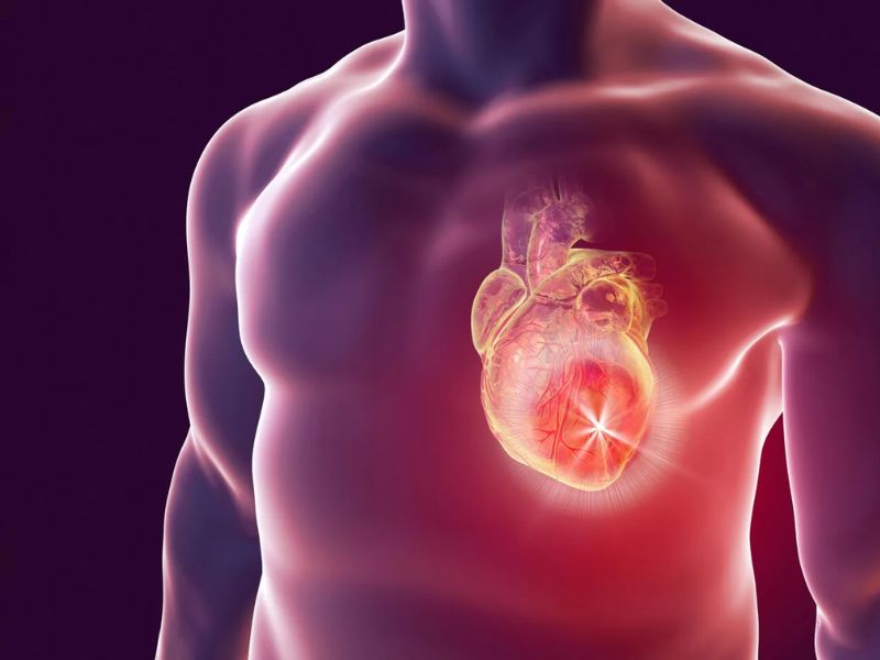 How Does Eating Too Many Ultra-Processed Foods Affect your Body?