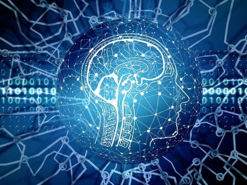 A Brain Circuit Linked to Compulsive Behaviors Has Now Been Identified and Mapped