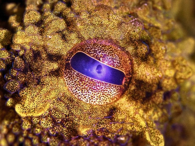 Design Sem Nome 2025 11 07T124918.846