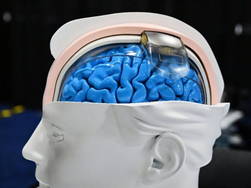 Design Sem Nome 2025 11 12T162336.019