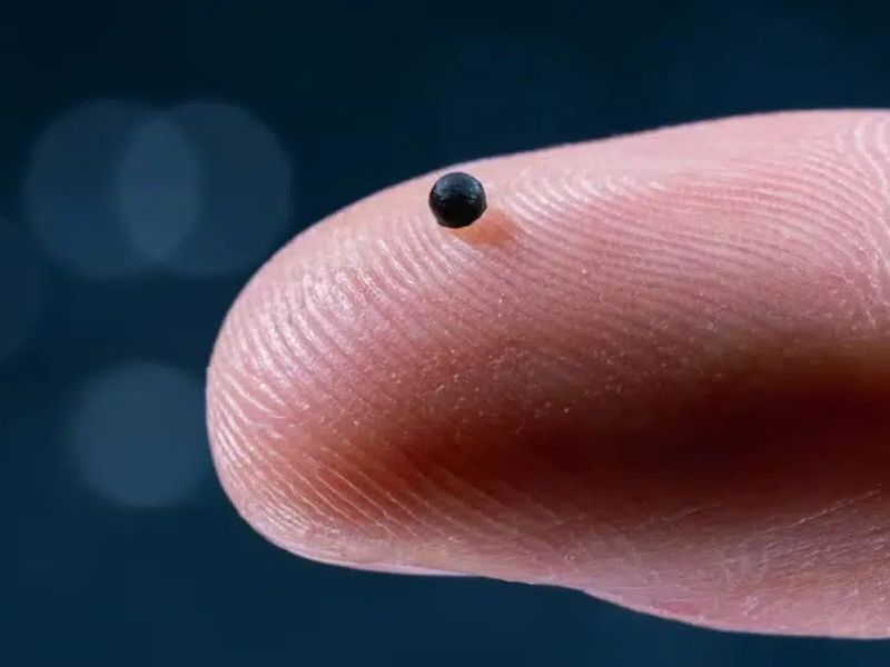 A Microrobot Moves Through the Bloodstream to Deliver Medication Precisely