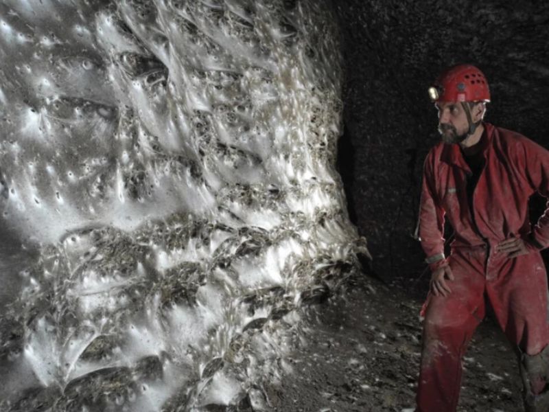 Design Sem Nome 2025 11 27T090807.146