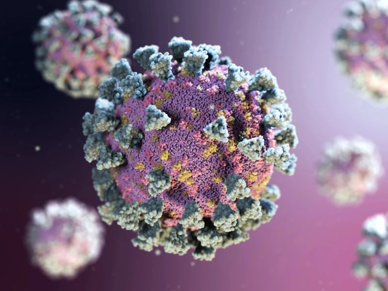 Bird Flu Has a Heat-Resistant Gene That Helps it Survive Fever Defenses