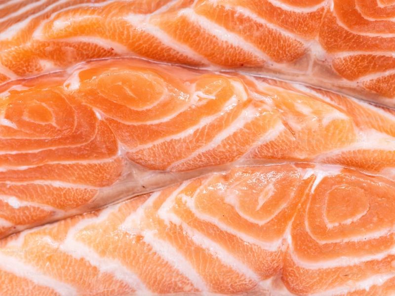 Scientists Discover the First Animal Able to Survive without Oxygen