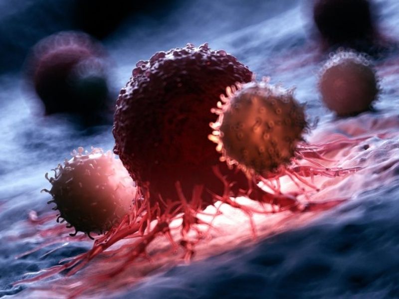 Design Sem Nome 2026 01 14T163825.879 1