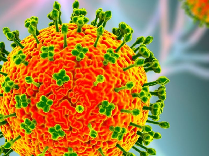 Nipah Virus Deaths in India Put Asia on Alert