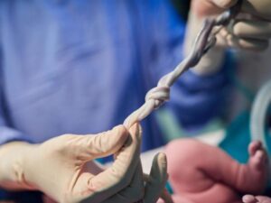 Researchers Have Uncovered a Troubling Finding in Umbilical Cord Blood