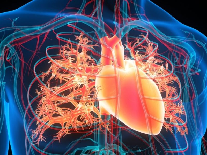 Millions of people experience a heart rhythm disorder called atrial fibrillation, which makes the heart’s upper chambers, or atria, beat irregularly instead of in a steady, coordinated pattern.
