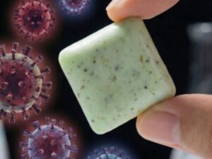 Even COVID-19: Scientists test plant-based gum that neutralizes viruses in the mouth