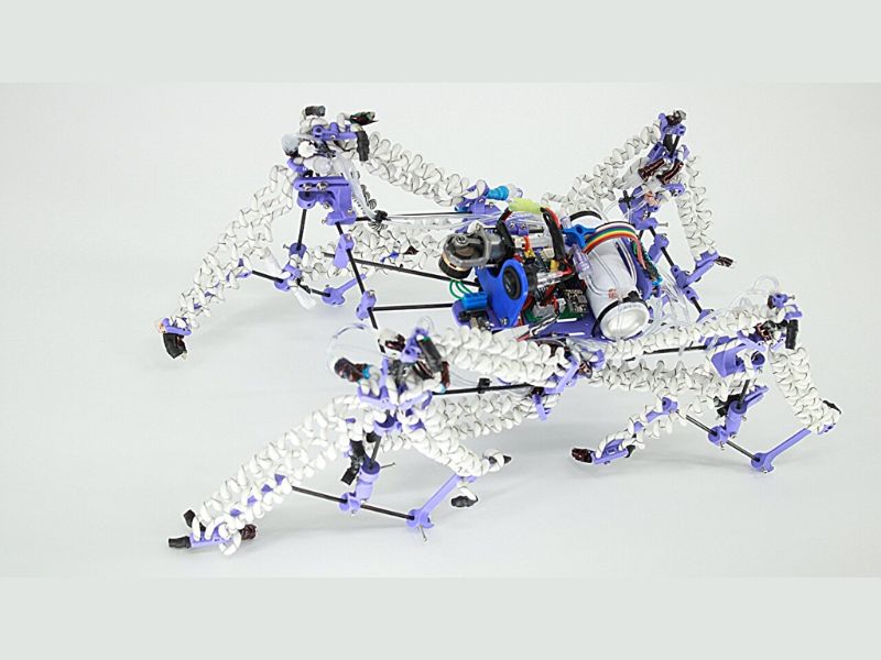 Researchers at Arizona State University are creating bio-inspired robotic “muscles” that could let robots function in extreme conditions—like boiling water and rough surfaces—overcome obstacles that stop traditional motor-driven machines, and still lift up to 100 times their own weight. These next-generation robots are expected to be lighter, more compact, and free from direct power connections.