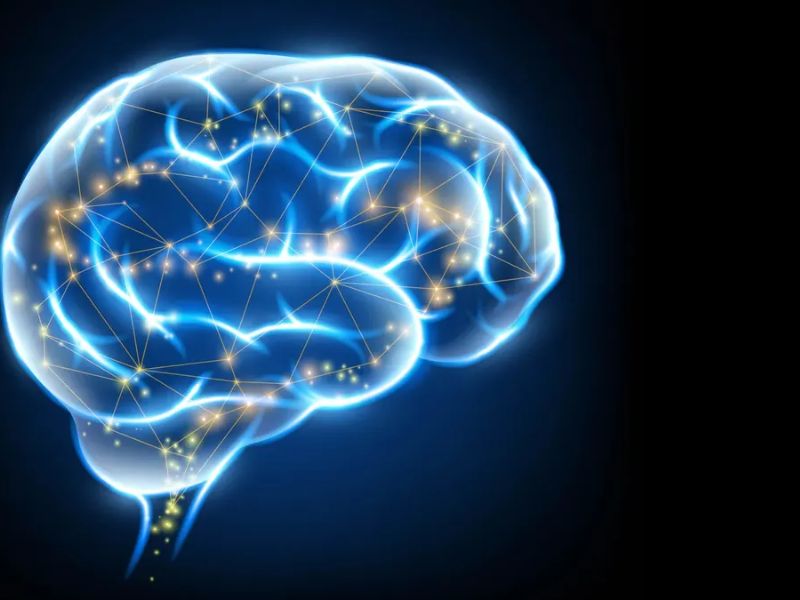 Japanese researchers developed an enhanced vitamin K that helps repair damaged neurons cientista chilena descobriu probiótico que impede proliferação da bactéria cancerígena helicobacter pylori no estômago humano, e ainda ajuda a regular a flora intestinal. a pesquisa foi publicada (2)