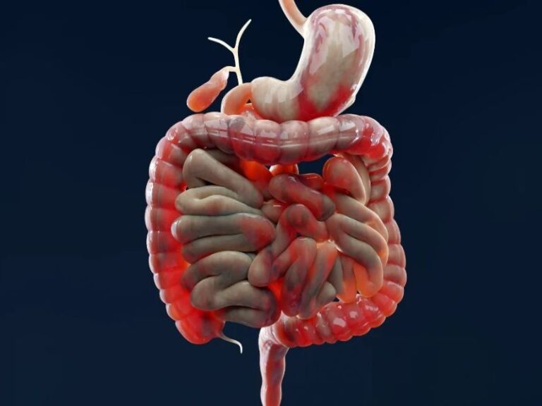 design sem nome (27)