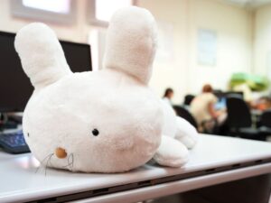 Robot rabbit learns voices on first greeting for personalized elder care