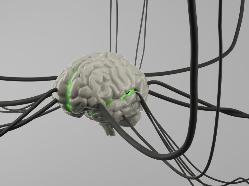 Giving AI a human-like limitation on memory may actually improve its ability to learn language. In a new proof-of-concept study, Abishek Thamma of the University of Amsterdam and Micha Heilbron of the Max Planck Institute for Psycholinguistics found that small language models with a short-lived memory learned grammar more effectively when trained on language input comparable to what children receive. Their results suggest that insights from psycholinguistics can help shape more effective approaches to AI language learning. The researchers published the study in Transactions of the Association for Computational Linguistics.