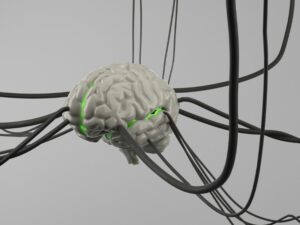 AI May Learn Languages More Effectively by Forgetting